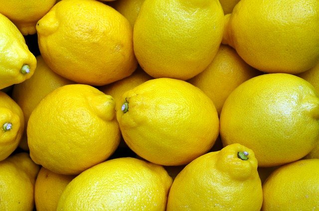 레몬들 레몬 효능